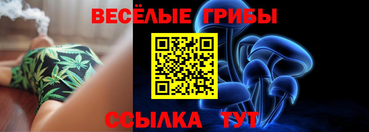 Псилоцибиновые грибы мицелий  Галлюциногенные грибы Psilocybe  закладки  Вход с VPN  Нягань 
